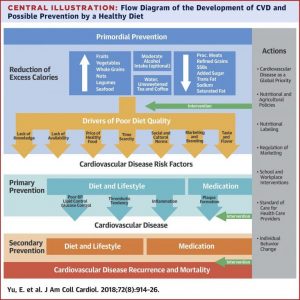 Régime alimentaire pour les patients cardiaques Alimentation pour les patients cardiaques Régime alimentaire pour les maladies cardiaques