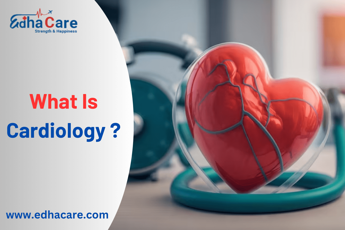Wat is kardiologie? Vind die beste kardioloog in Indië