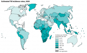 tuberculosis treatment in india