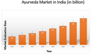 mercado ayurveda en la India