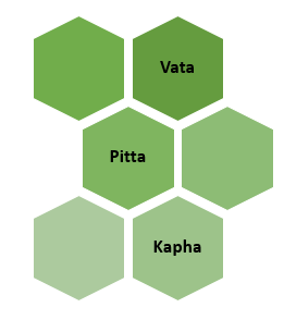Doshas of life