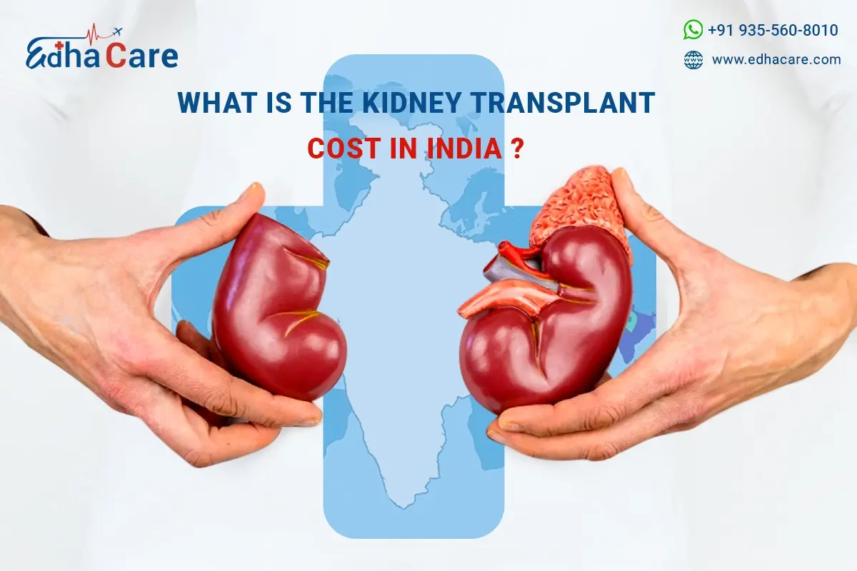 Kidney Transplant Cost In India