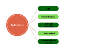 Causes of Breast Cancer
