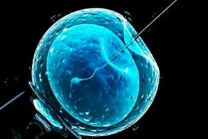 ivf process