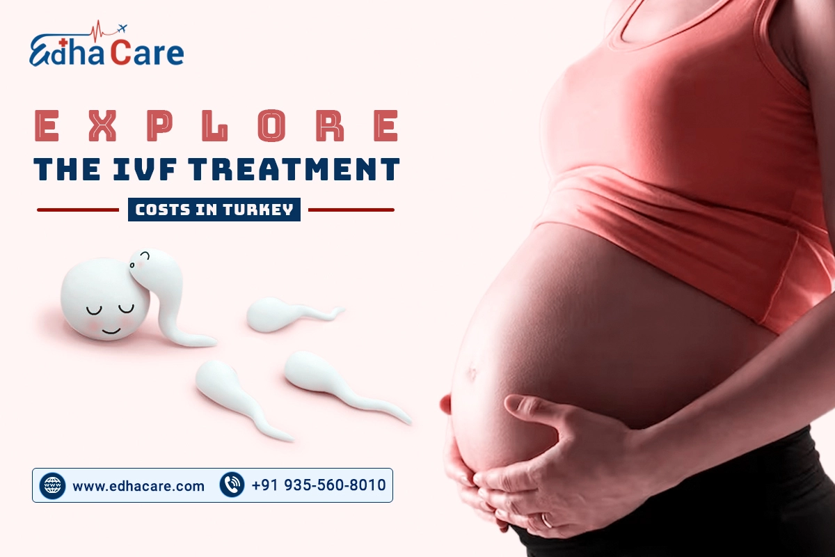 តម្លៃនៃការព្យាបាល IVF នៅក្នុងប្រទេសទួរគី