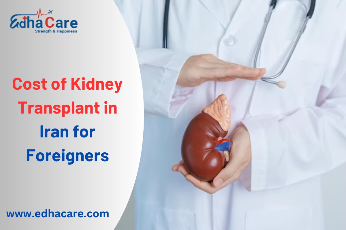 Cost of Kidney Transplant in Iran for Foreigners