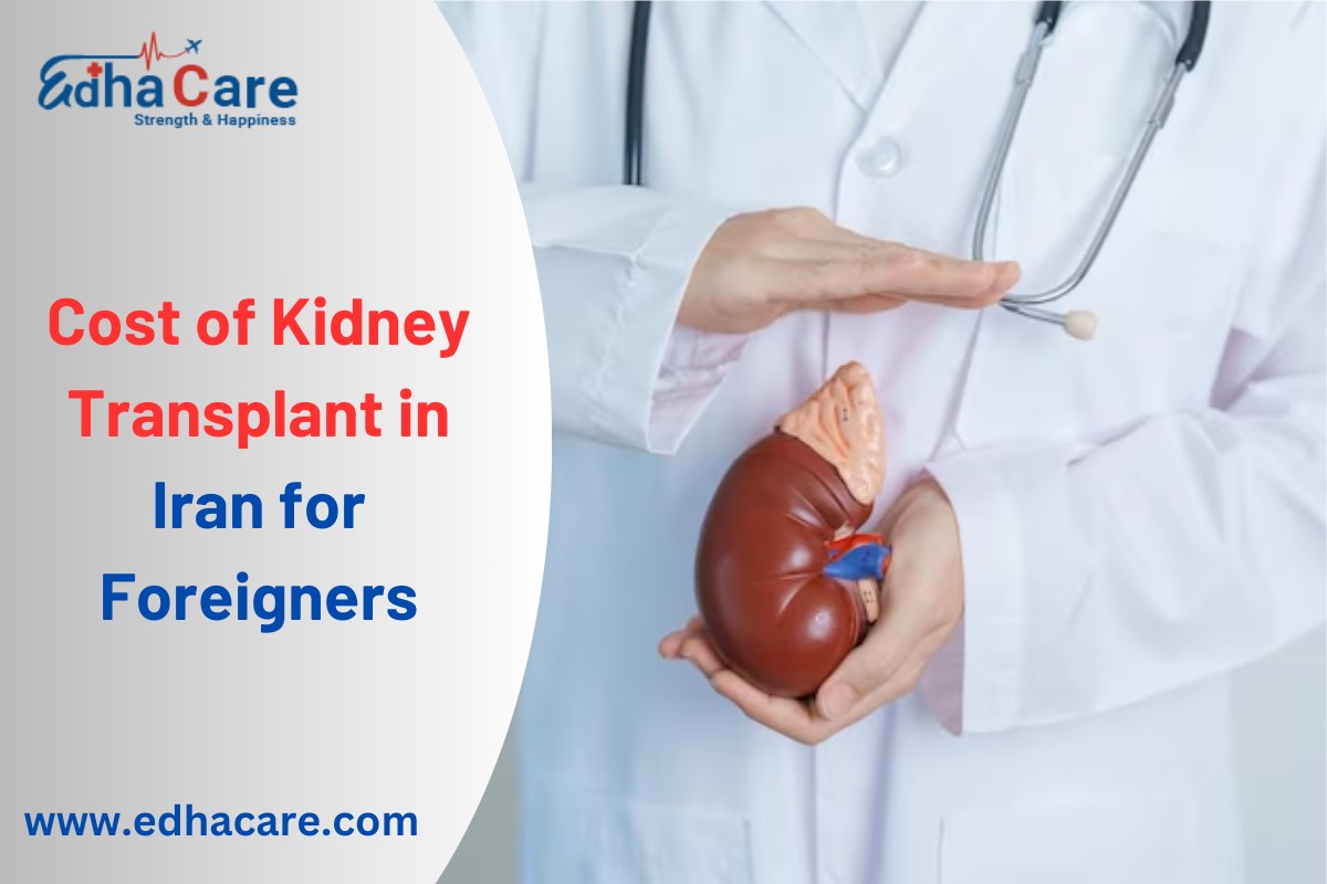 Custo do transplante renal no Irã para estrangeiros