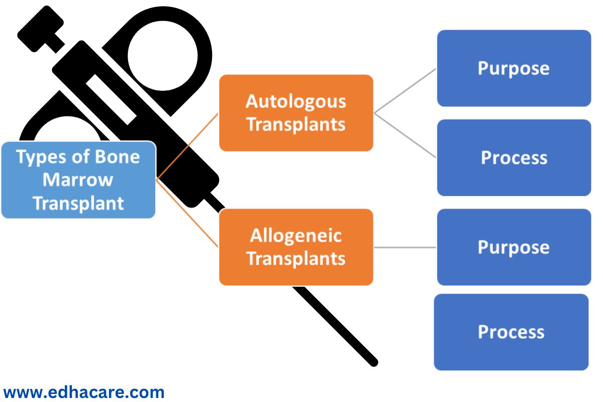 Types de transplantation de moelle osseuse