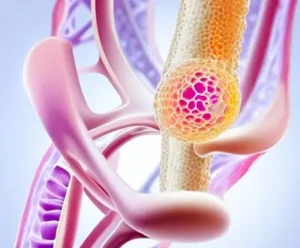 bone tumor treatment