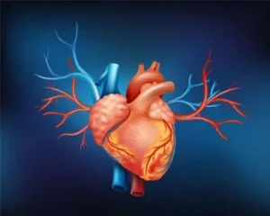 изискване за cabg
