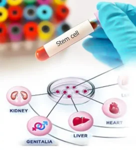 applications of stem cell treatment