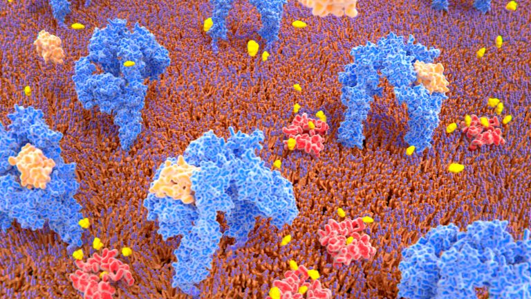 T-Cell Receptor Therapy 