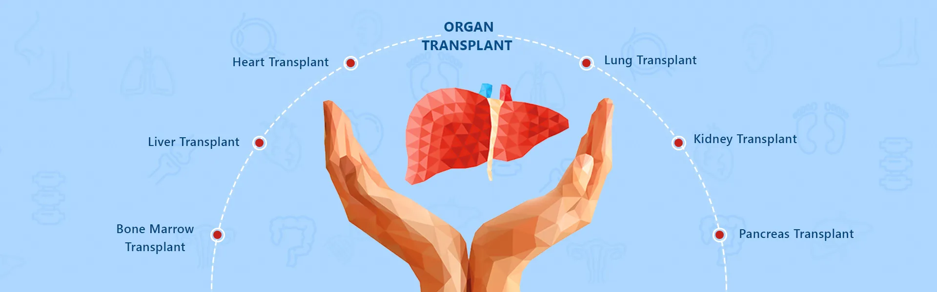 trasplante de organo