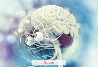 Tratamiento de neurología en la India